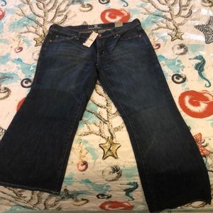 NY&Co. Jeans